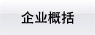 企業(yè)概括
